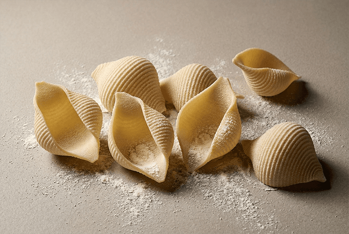 Conchiglioni — fresh pasta for professional kitchens